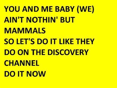 discovery channel song lyrics.